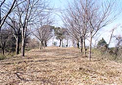 二の丸跡は憩いの場の写真
