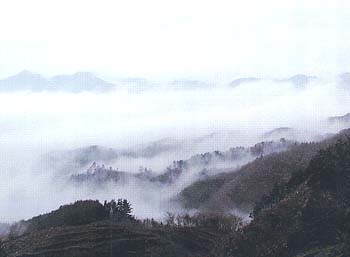 長寿山からの幻想的な風景の写真