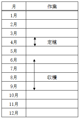 ミニトマト栽培暦