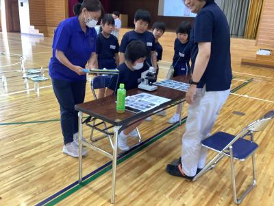 学校