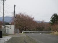 山木屋２
