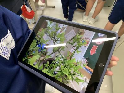 学校