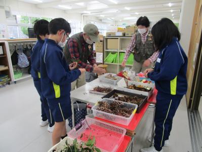 授業