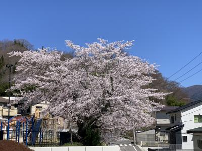 授業