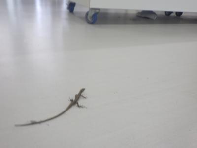 授業
