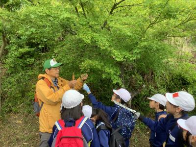 中央公園で森の案内人から話を聞く児童