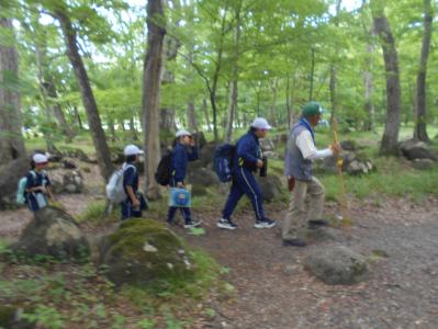 森林を歩く4年生