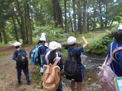 森の中を歩く4年生