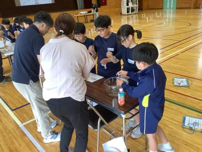 試薬をテストする４年生
