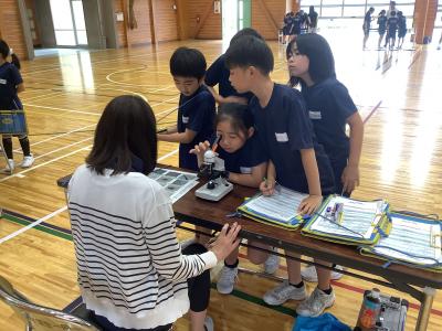 顕微鏡をのぞき込む４年生