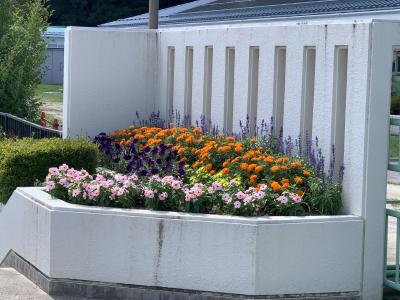 授業