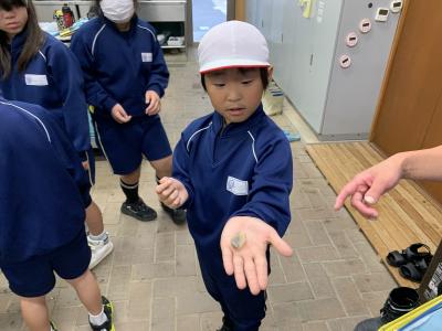 授業