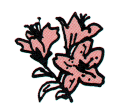町の花 山つつじの画像